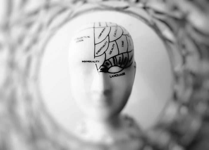 Head bust of human brain - Jean-Francois de Clermont-Tonnerre
